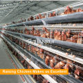 4 Tiers Automatic Manure Removing Battery Cages for Broilers